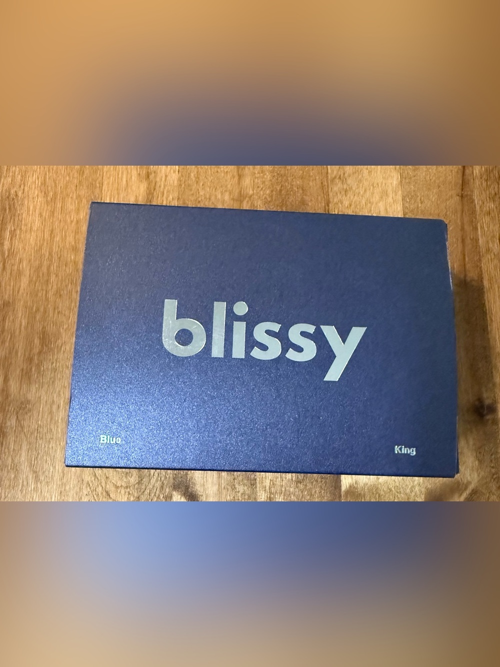 Blissy 100% Pure Mulberry Silk King Size Pillow Case in Blue. NWT